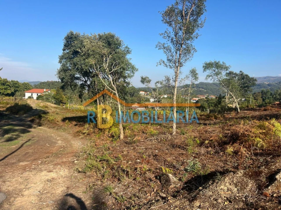 Terreno para Venda em Chave Foto 6