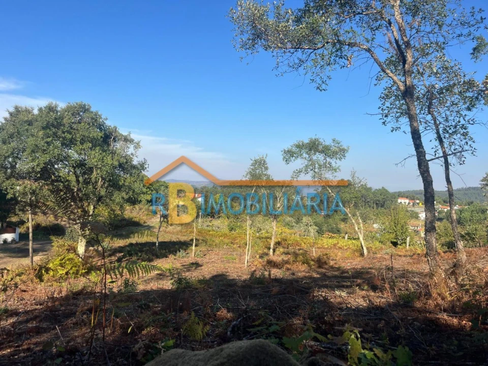 Terreno para Venda em Chave Foto 7