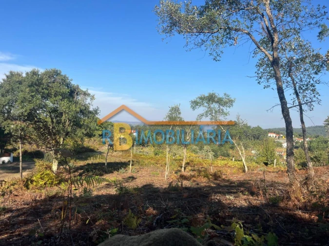 Terreno para Venda em Chave Foto 7