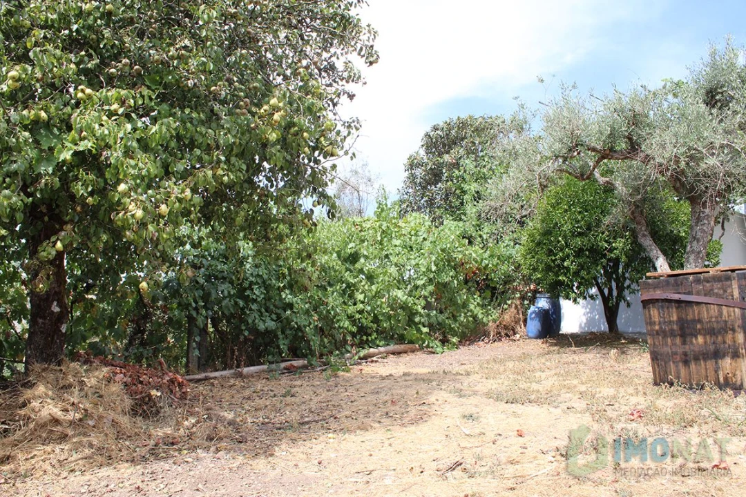 Moradia T3 para Venda em Estreito Foto 3