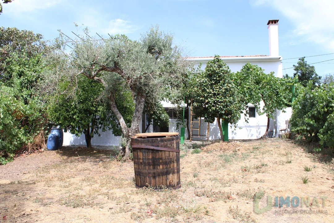 Moradia T3 para Venda em Estreito Foto 44