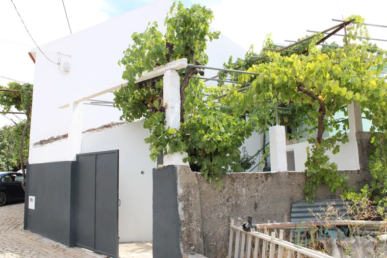 Moradia T3 para Venda em Estreito Foto 35