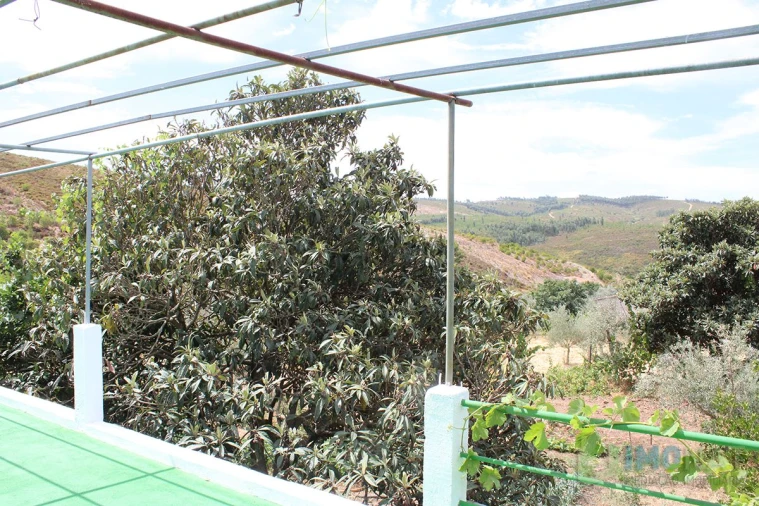 Moradia T3 para Venda em Estreito Foto 43