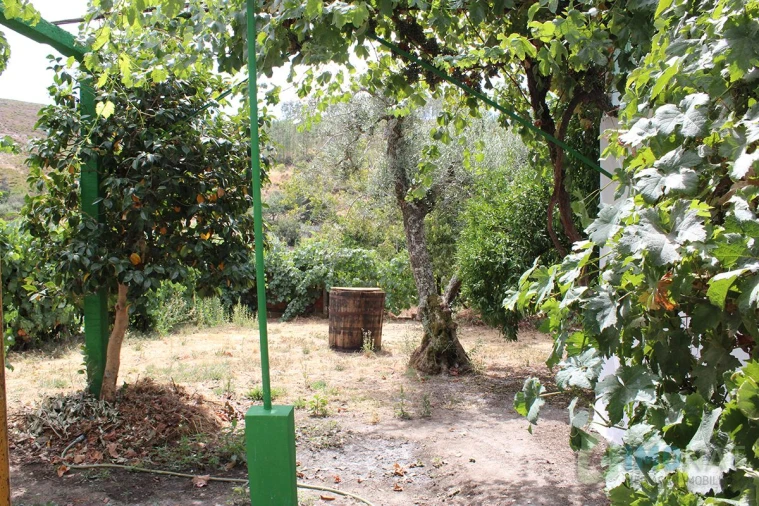 Moradia T3 para Venda em Estreito Foto 47