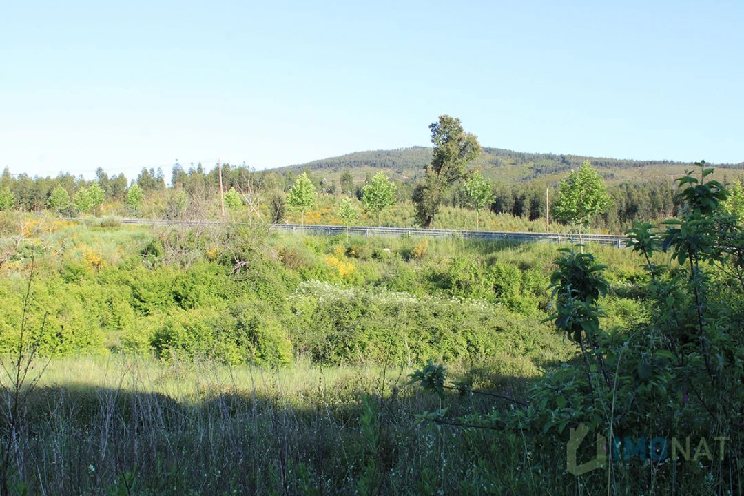 Moradia T2 para Venda em Estreito Foto 16