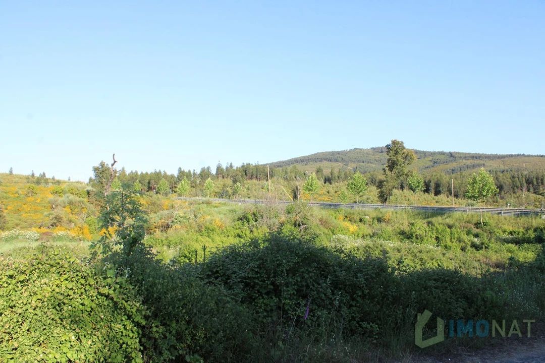 Moradia T2 para Venda em Estreito Foto 17