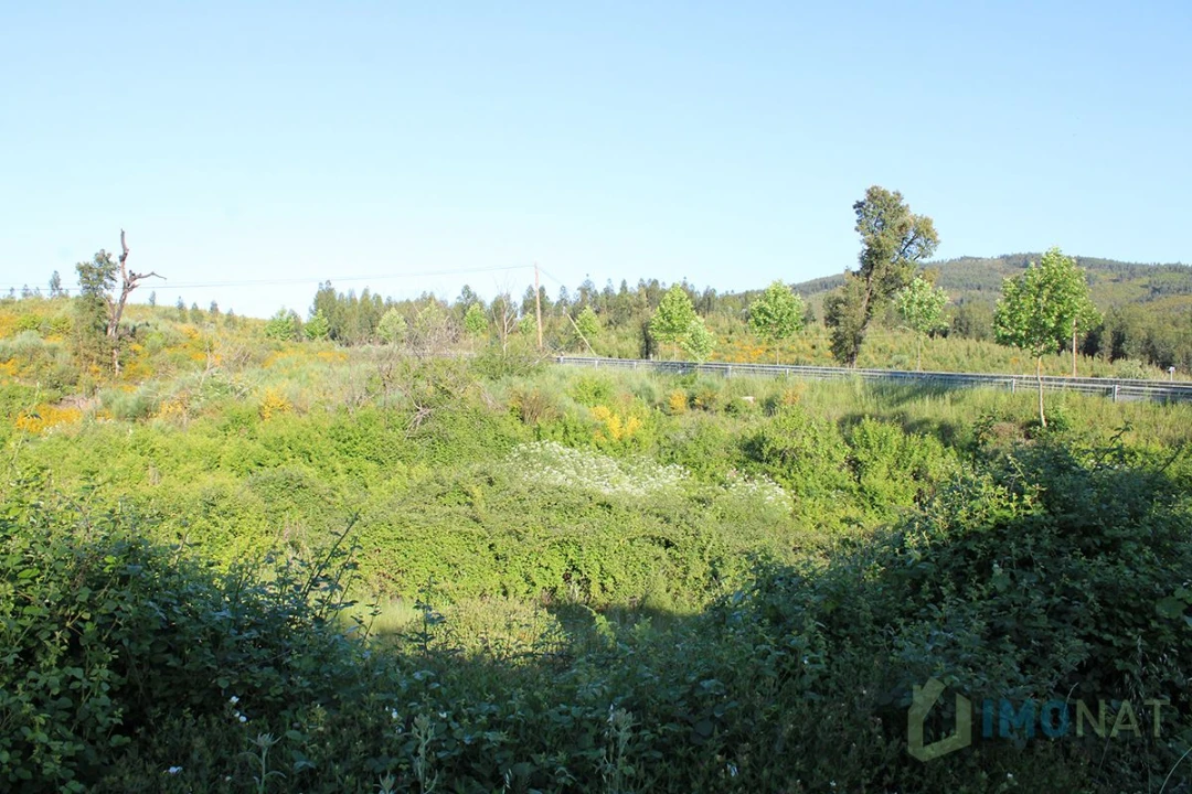 Moradia T2 para Venda em Estreito Foto 21