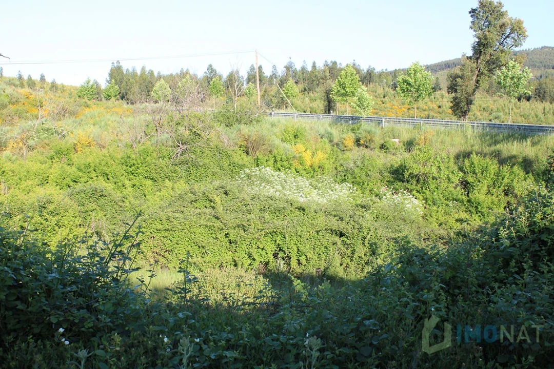 Moradia T2 para Venda em Estreito Foto 26