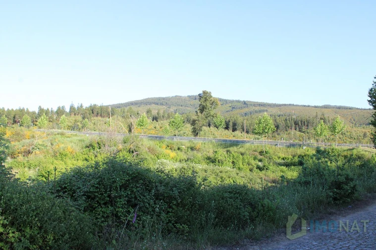 Moradia T2 para Venda em Estreito Foto 20