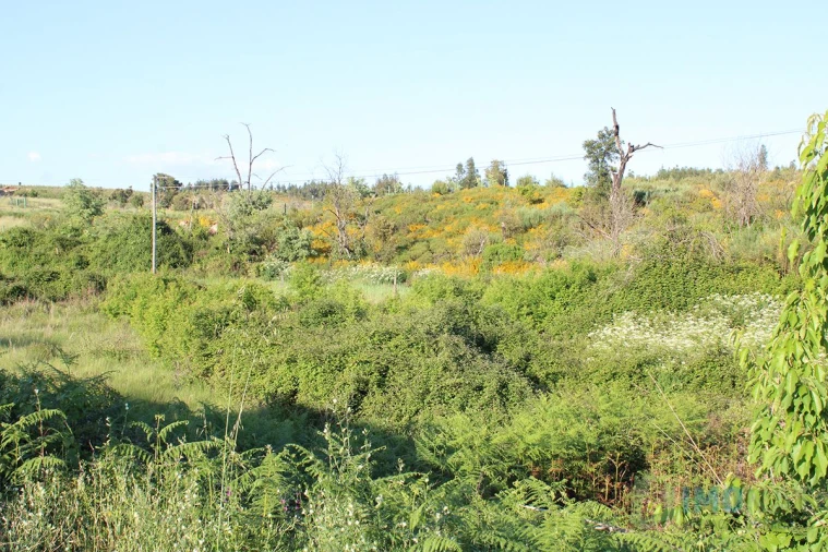 Moradia T2 para Venda em Estreito Foto 27