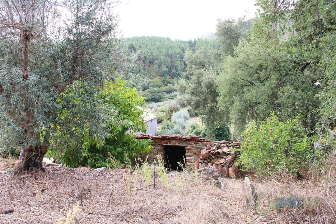 Moradia T3 para Venda em Cardosa Foto 37