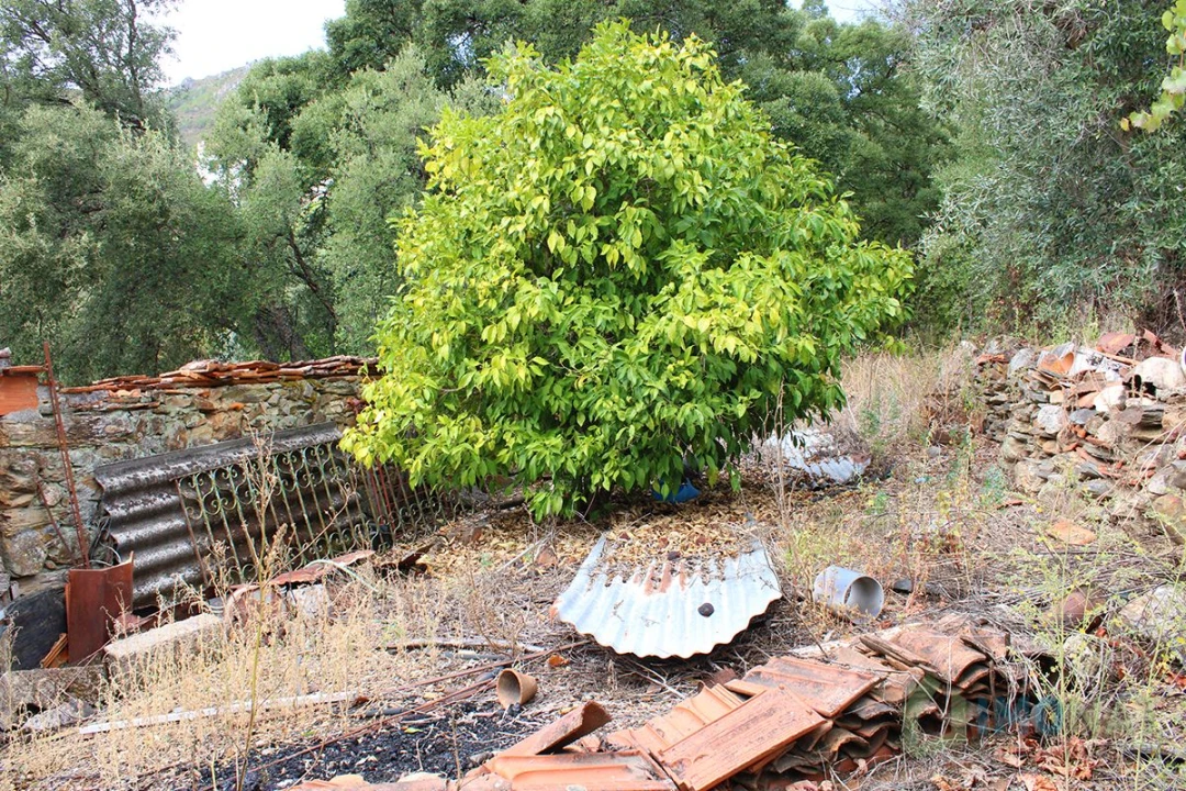 Moradia T3 para Venda em Cardosa Foto 38