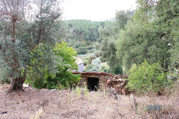 Moradia T3 para Venda em Cardosa Foto 37