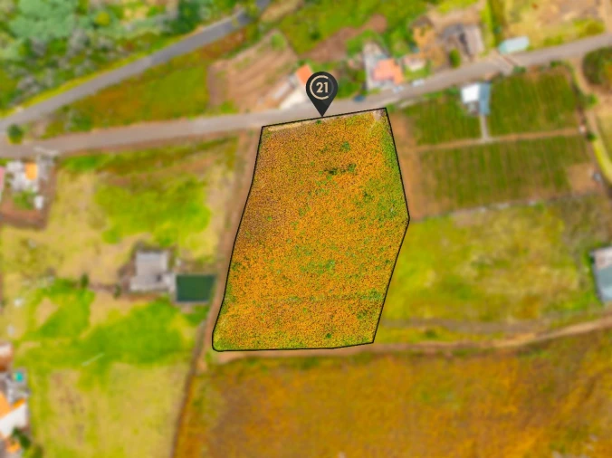 Terreno para Venda em Ponta do Pargo Foto 2