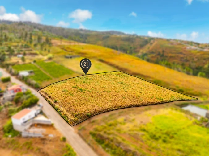 Terreno para Venda em Ponta do Pargo