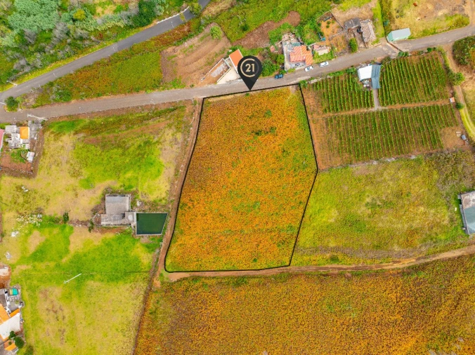 Terreno para Venda em Ponta do Pargo Foto 15