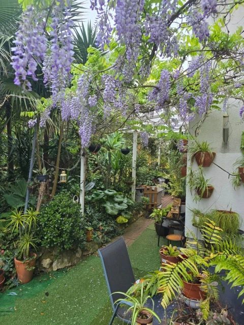 Apartamento T3 para Arrendamento em Cascais