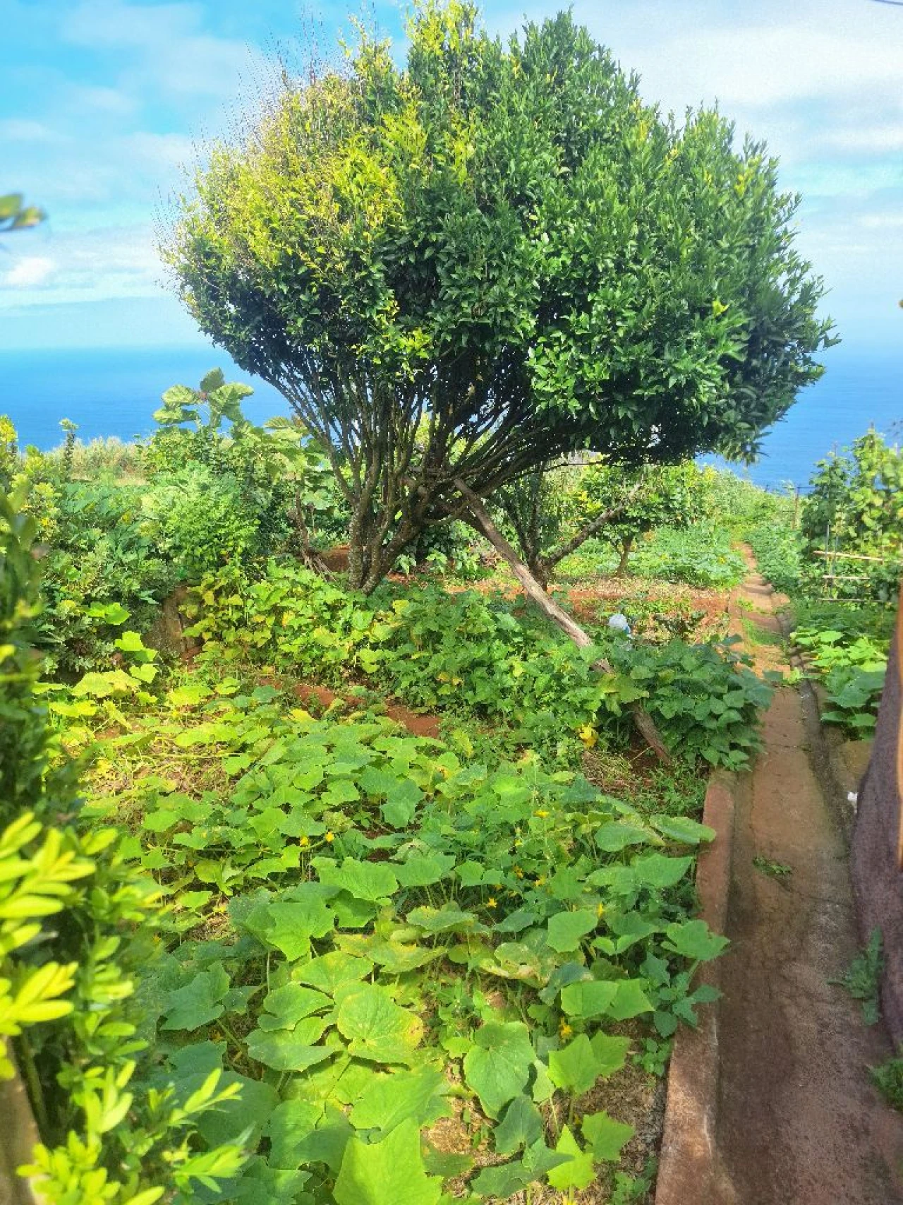 Moradia T2 para Venda em Pombais Foto 11