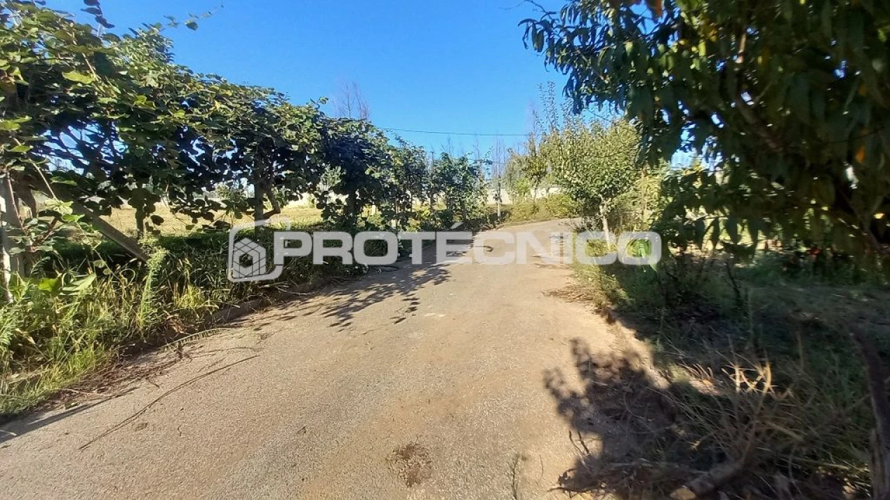 Moradia T4 para Venda em Albergaria-A-Velha Foto 32