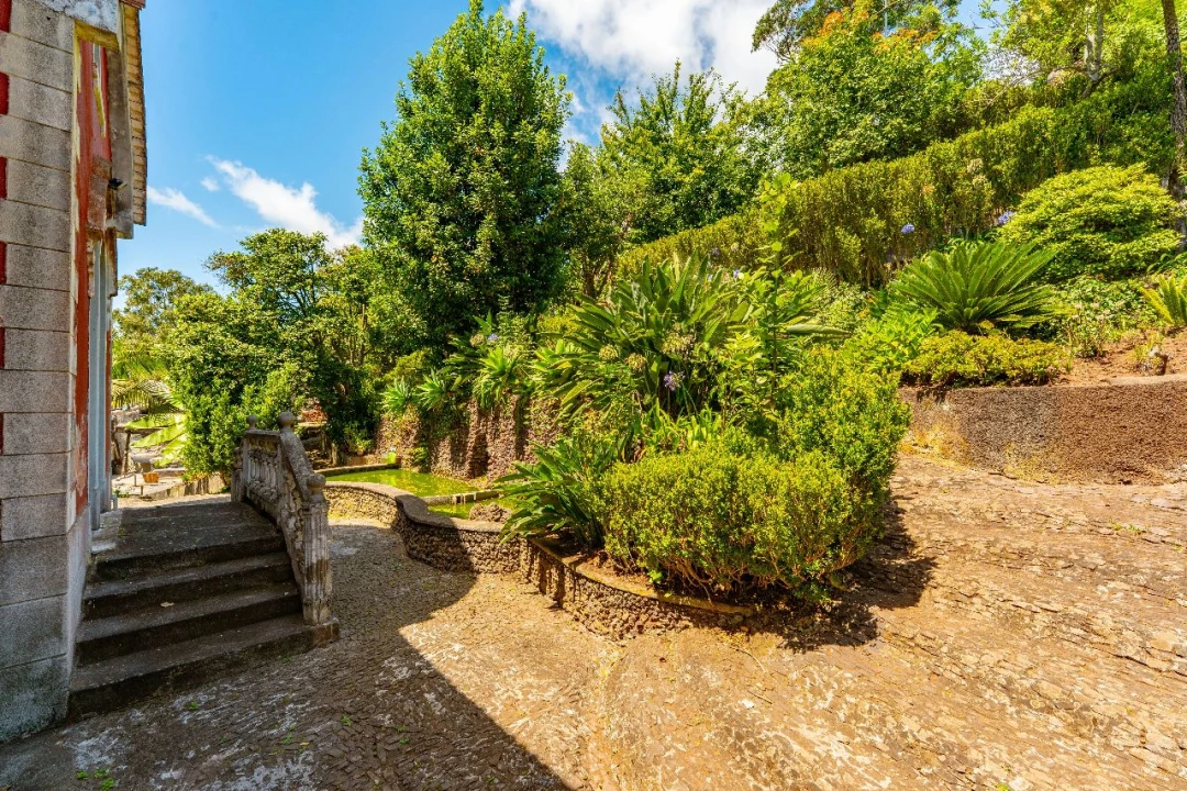 Quinta T3 para Venda em Funchal Foto 16