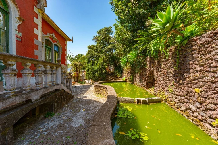 Quinta T3 para Venda em Funchal Foto 15