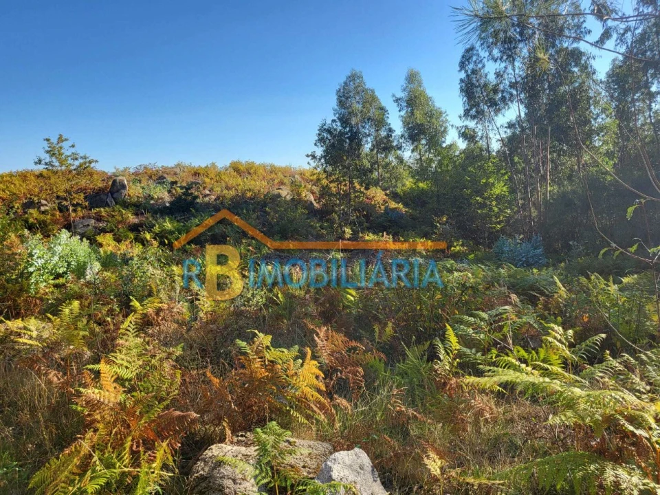 Terreno para Venda em Quintela Foto 2