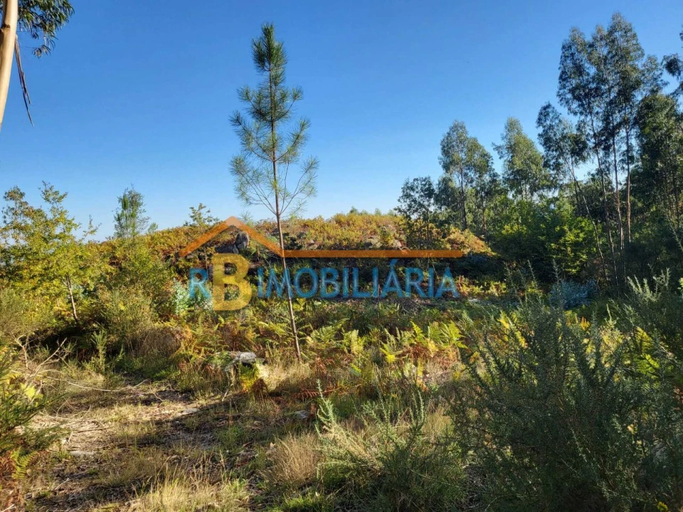 Terreno para Venda em Quintela Foto 5