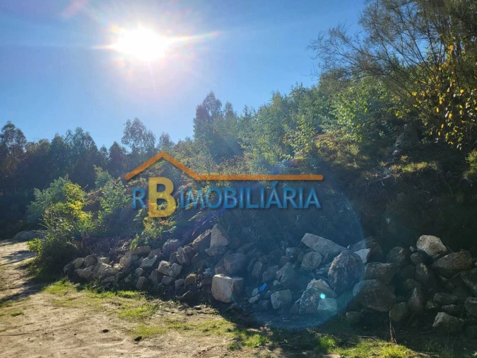 Terreno para Venda em Quintela