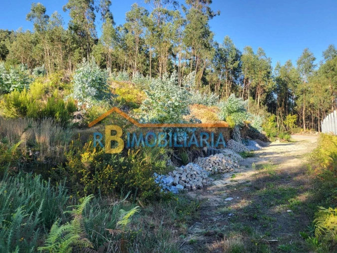 Terreno para Venda em Quintela Foto 4