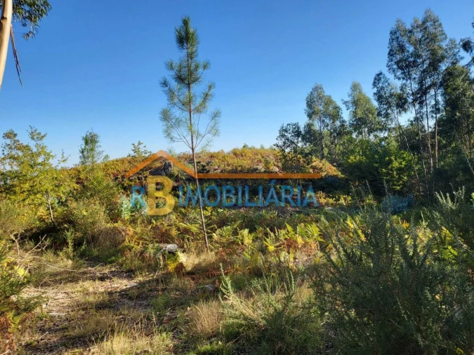 Terreno para Venda em Quintela Foto 5