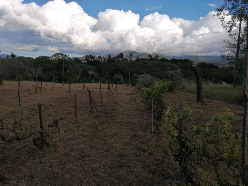Terreno Misto para Venda em Galizes Foto 1