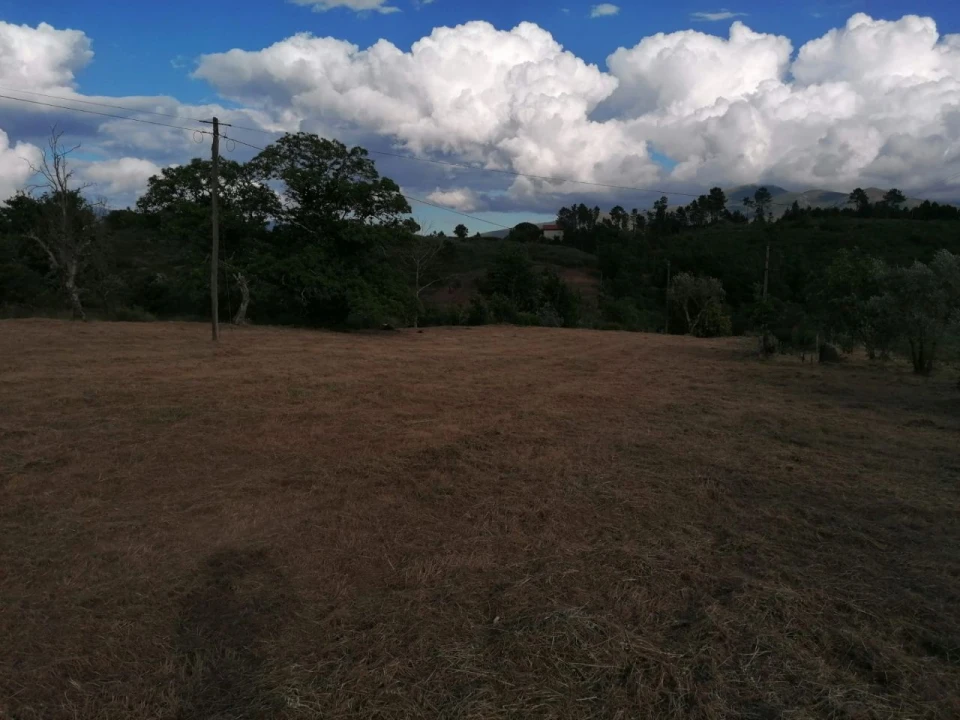 Terreno Misto para Venda em Galizes Foto 3
