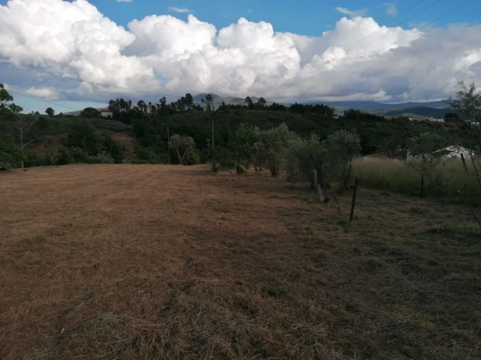 Terreno Misto para Venda em Galizes Foto 4