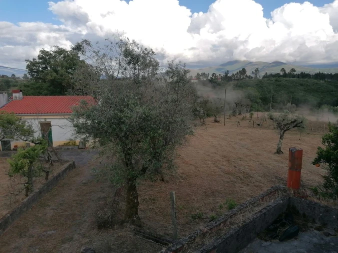 Terreno Misto para Venda em Galizes Foto 7