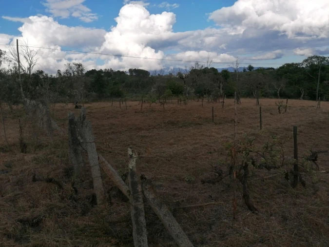Terreno Misto para Venda em Galizes Foto 9