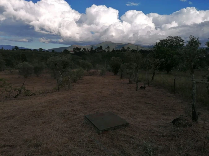 Terreno Misto para Venda em Galizes Foto 10