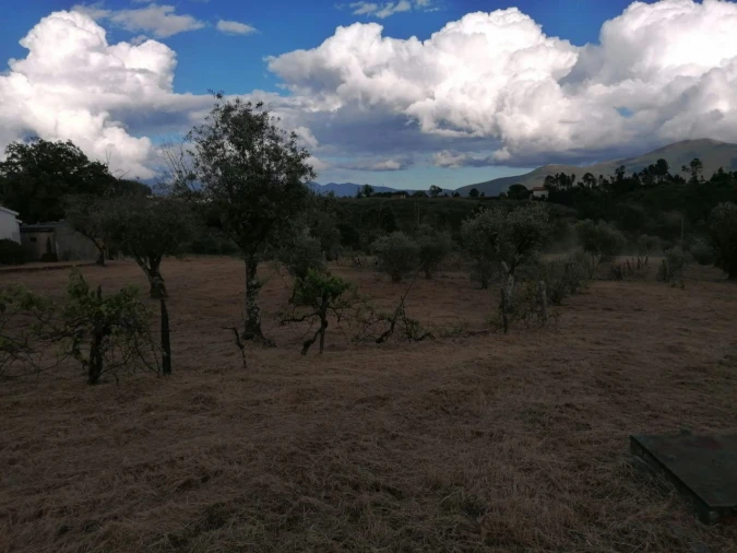 Terreno Misto para Venda em Galizes Foto 11