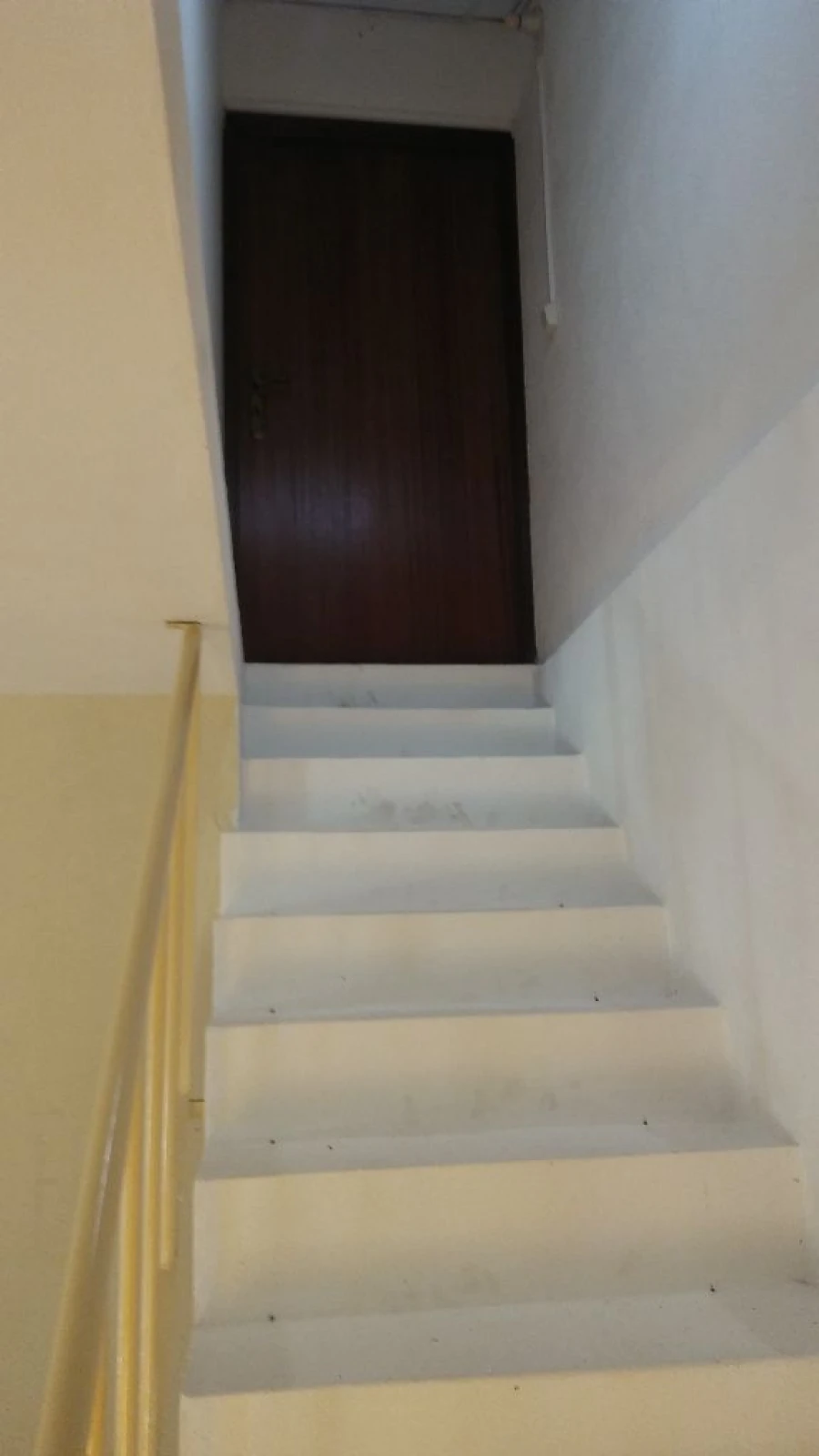 Moradia T1 para Arrendamento em Cabeças Foto 17