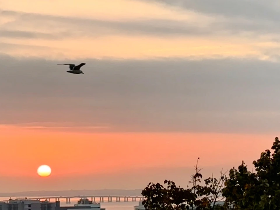 Apartamento T4 para Arrendamento em Lisboa Foto 1