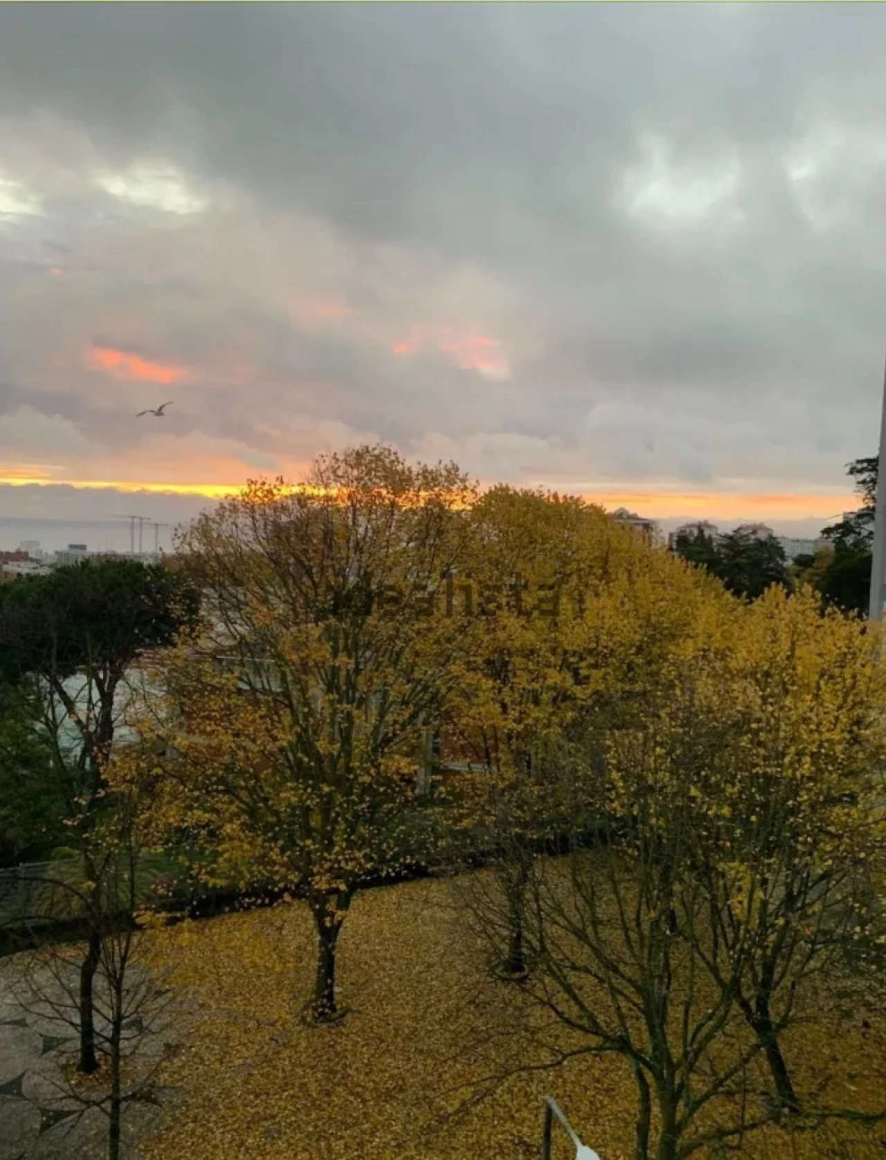 Apartamento T4 para Arrendamento em Lisboa Foto 6