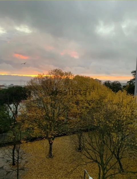 Apartamento T4 para Arrendamento em Lisboa