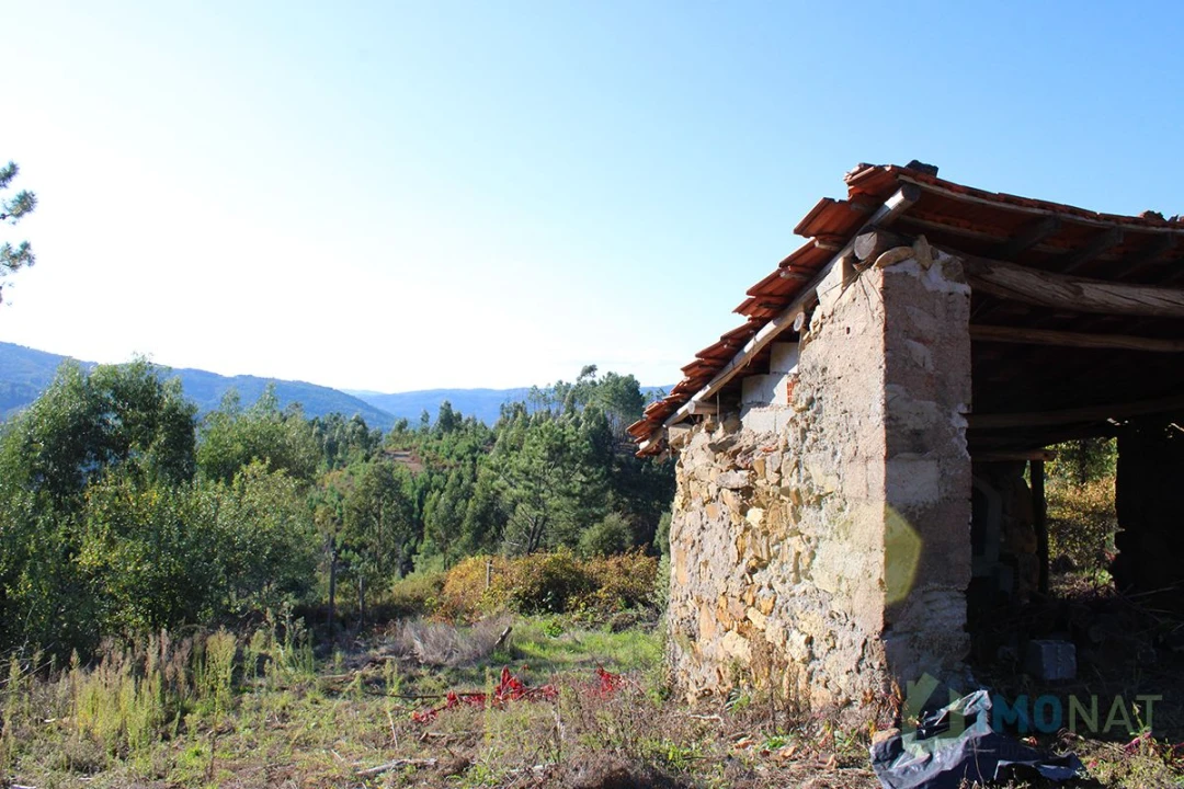 Quinta T0 para Venda em Moutinhosa Foto 13