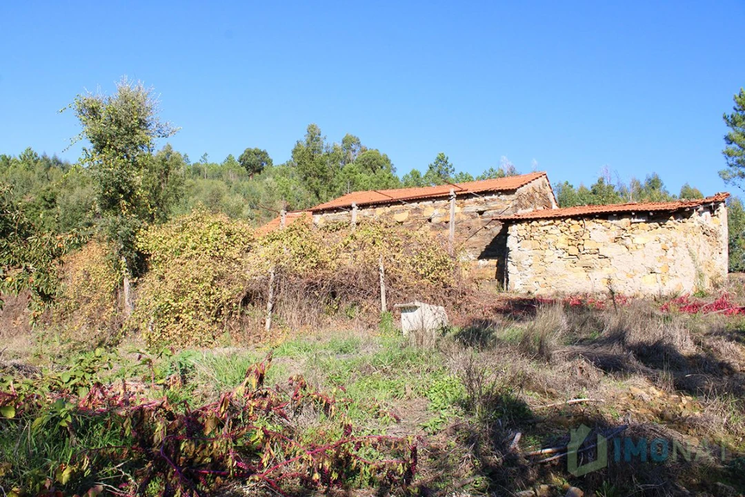Quinta T0 para Venda em Moutinhosa Foto 19