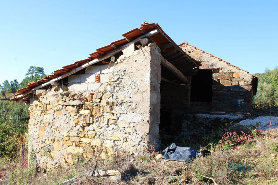 Quinta T0 para Venda em Moutinhosa Foto 22
