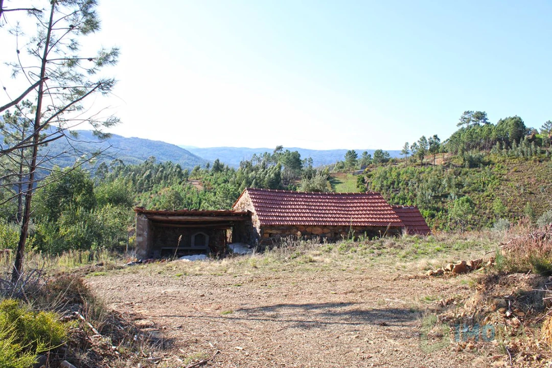 Quinta T0 para Venda em Moutinhosa Foto 1