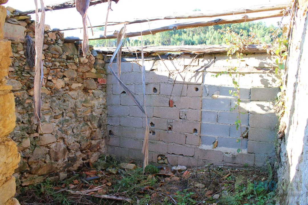Quinta T0 para Venda em Moutinhosa Foto 30