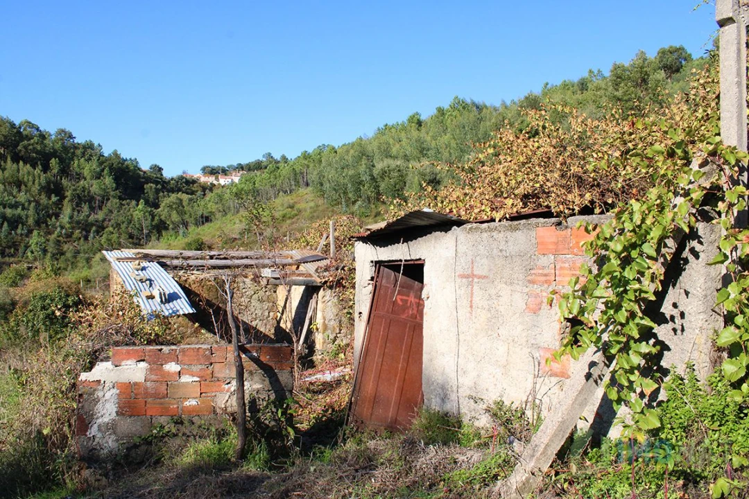 Quinta T0 para Venda em Moutinhosa Foto 34