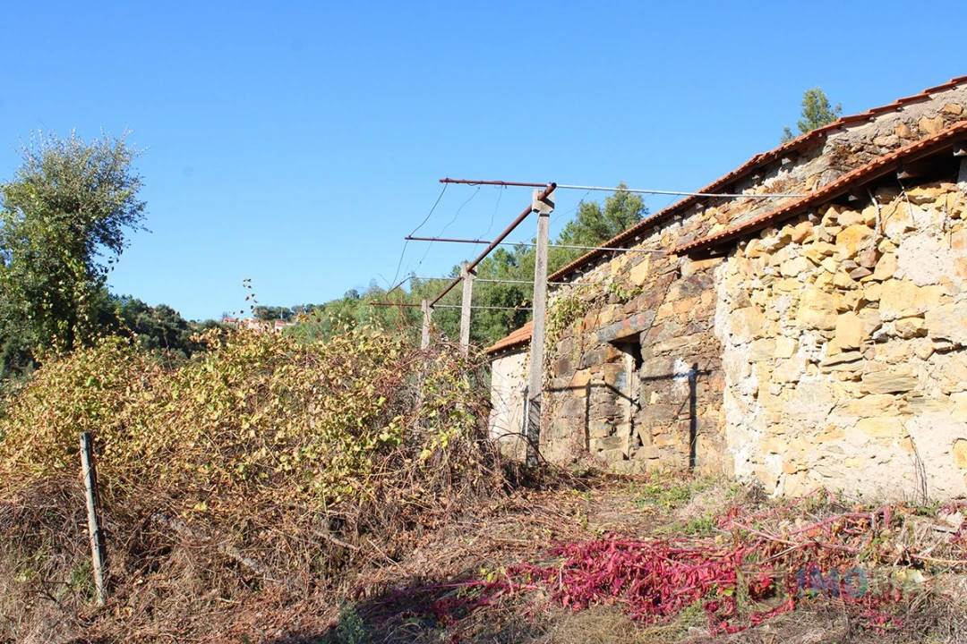 Quinta T0 para Venda em Moutinhosa Foto 35