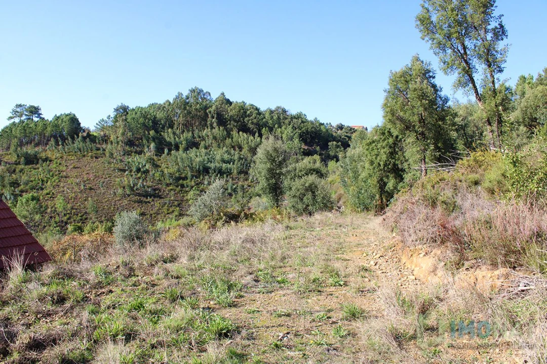 Quinta T0 para Venda em Moutinhosa Foto 40