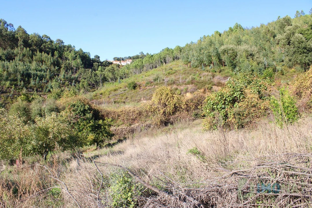 Quinta T0 para Venda em Moutinhosa Foto 45